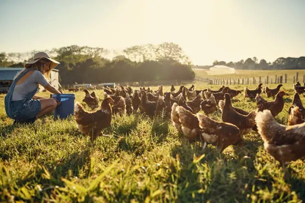 Sustainability